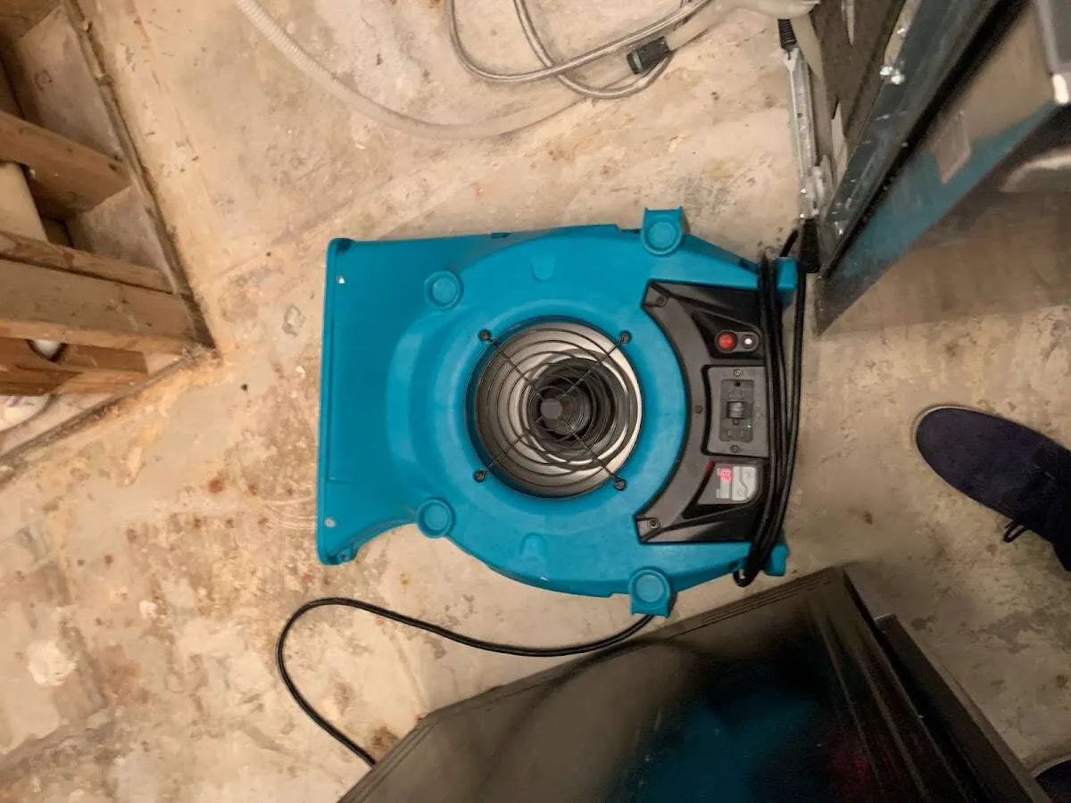 Air mover drying equipment for Mold Remediation & Removal in Standish